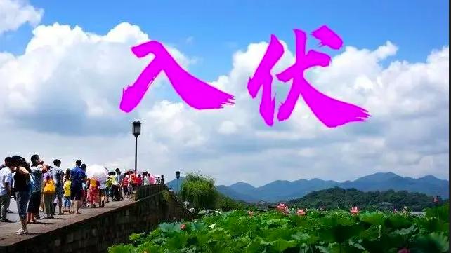 失眠|今日入伏，老话说“入伏有六怕”，六怕分别是啥？看完大家要注意