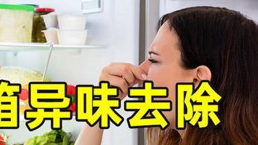 打开冰箱全都是味！教你正确做法，干净除味，省时又省力