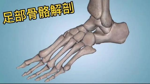 |中国男足差的原因找到了，中国人足部普遍比白人及黑人少两块骨头