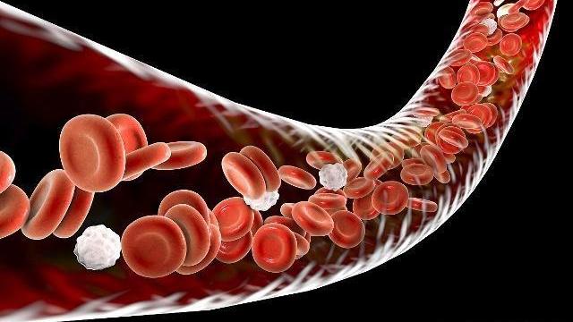 血栓|天然的化栓王找到了，每天来一些，帮助化解血栓清肠道，早知早好