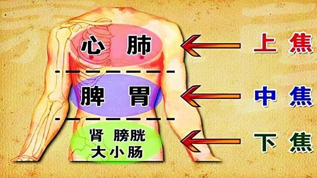 中药|中药也有基础搭配公式，4种搭配，帮你化湿燥痰，清湿热，除寒湿