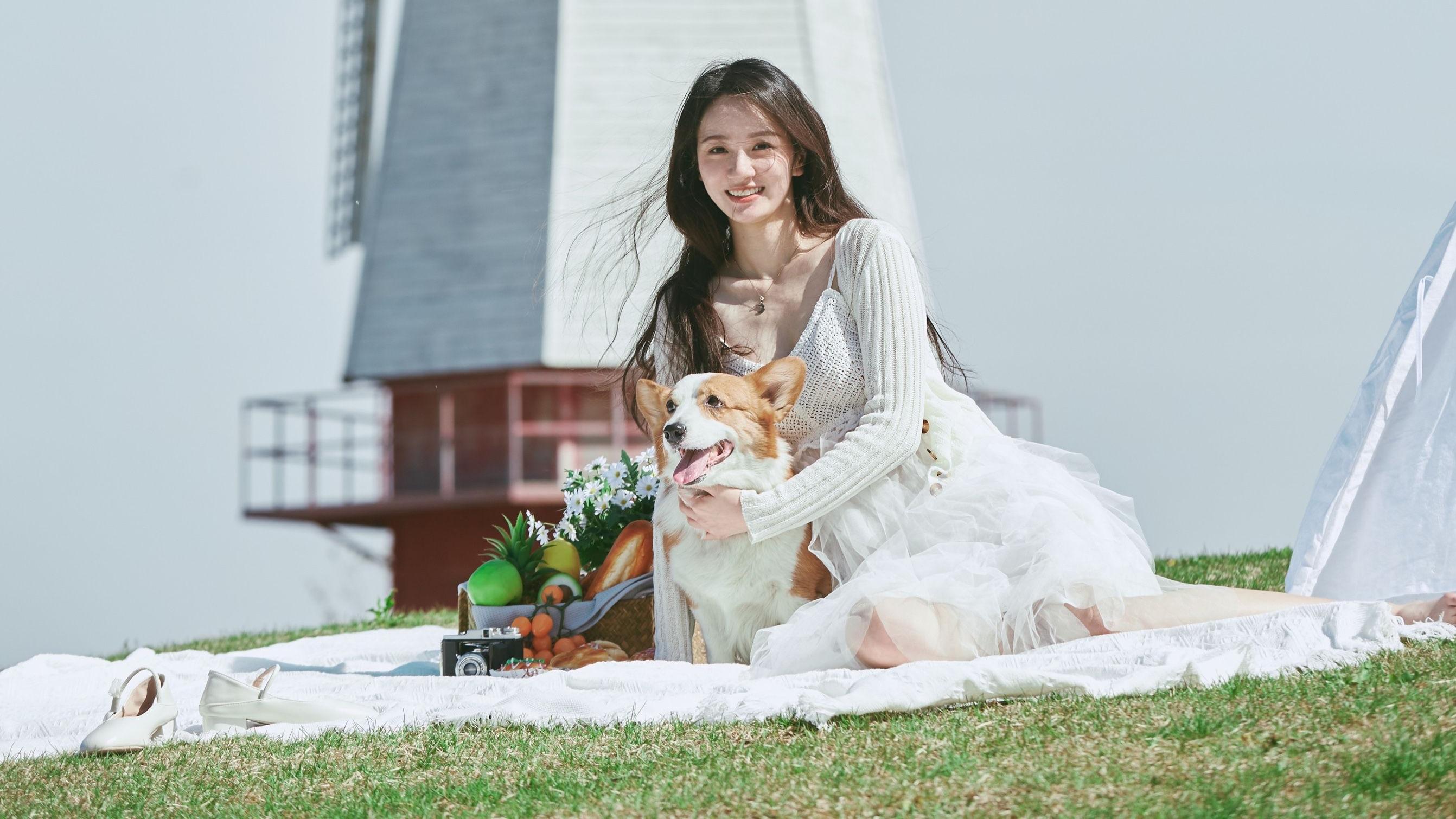 写真|风车草地萌宠相伴 欧畅甜美系针织白纱裙写真发布