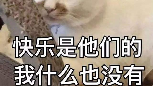 诸葛亮|现代的“诸葛亮”，姓猪，不适合团队合作