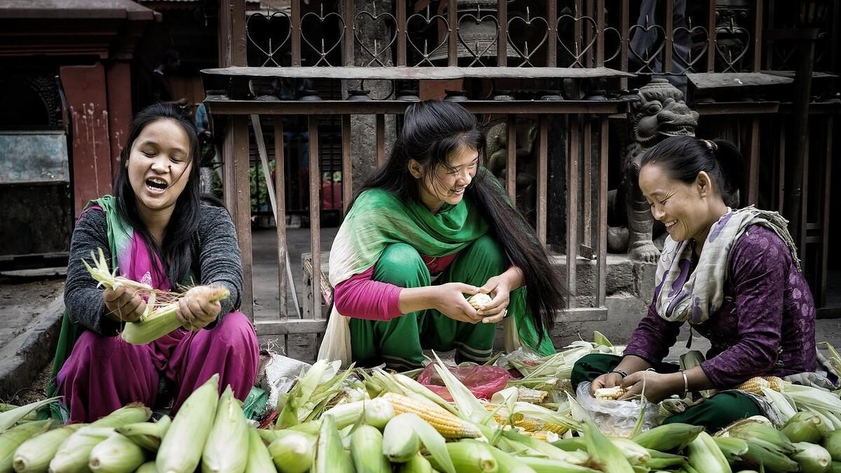 莫言成名作《透明的红萝卜》：童年受了创伤的孩子该怎么治愈？