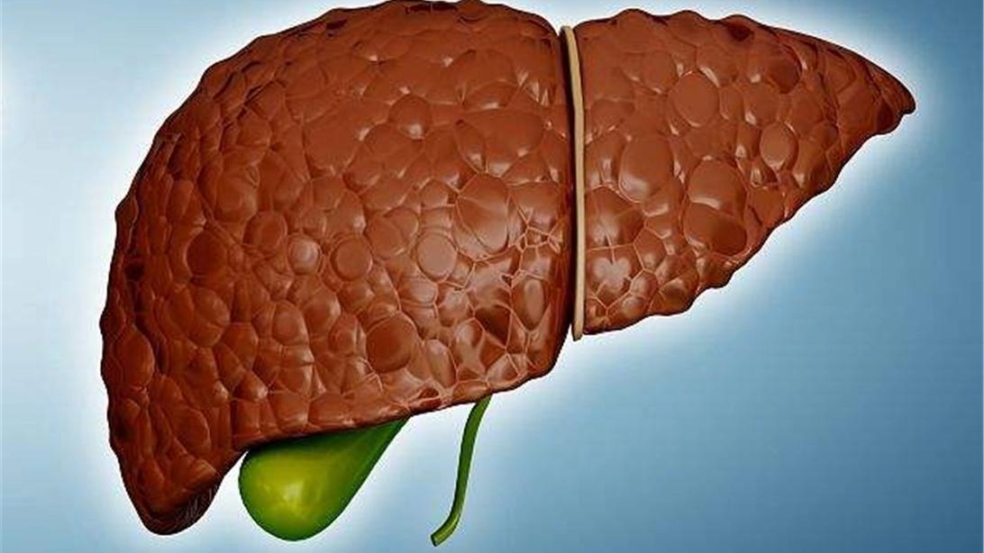 肝癌|肝占位是什么意思？属于肝癌吗？