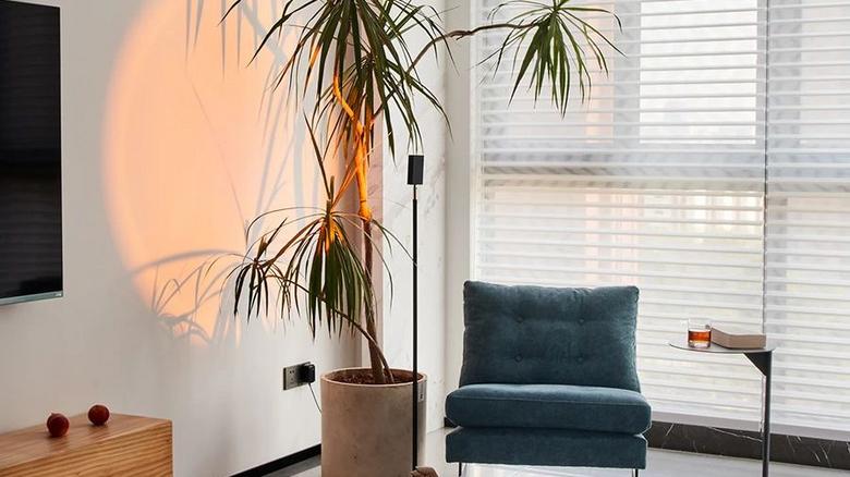 安徽小哥定居杭州，新家不断做减法，非常干净清爽，生活轻松自在