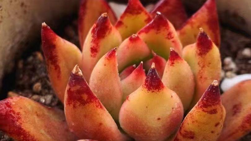 如何让你肉肉拍出美感，跟着我这样做~有着大片即视感~