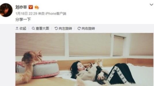 晒晒刘亦菲住的豪宅，走廊还挂着古装自画像，进门就被迷住了