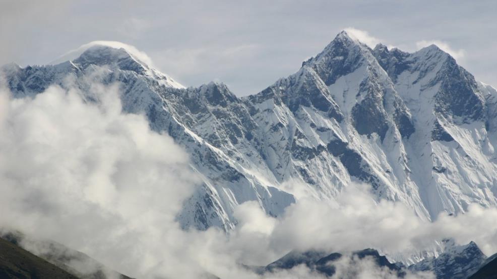 生肖|被称为职场好前辈，不吝赐教，用心带新人的生肖