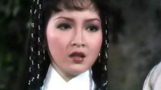 天龙八部|在《天龙八部》演阿朱的女星，放在一起看，颜值对比