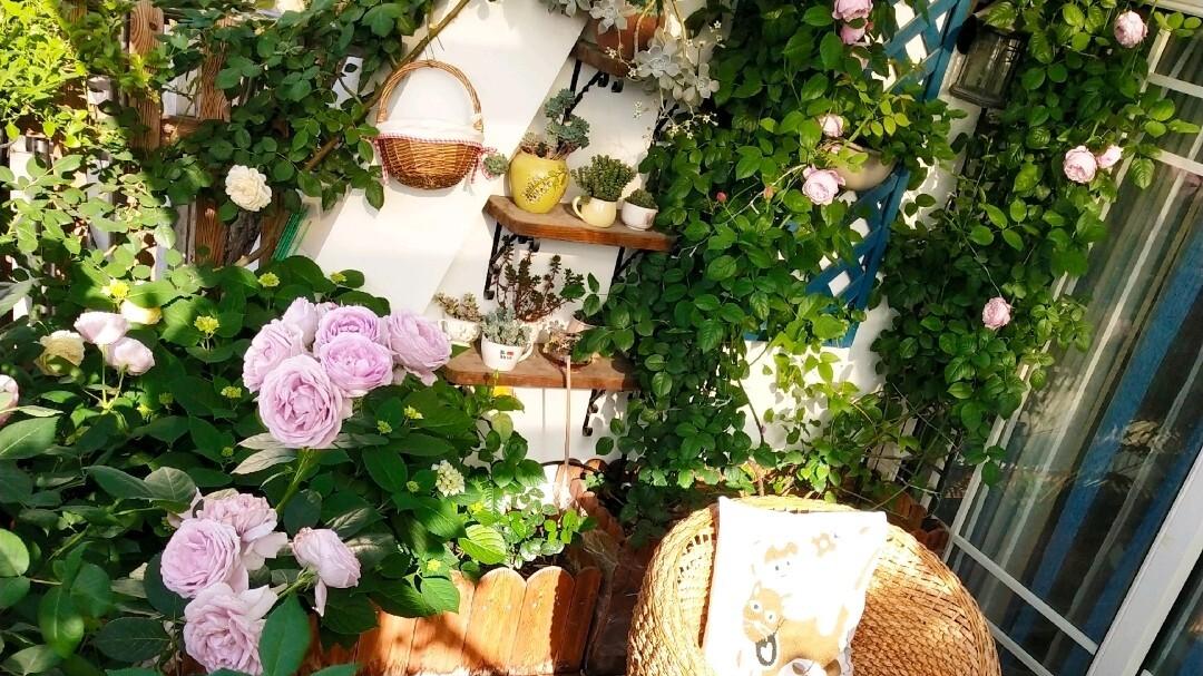 五年前买了顶楼，送了个10㎡小露台，自己折腾成空中花园，太美了