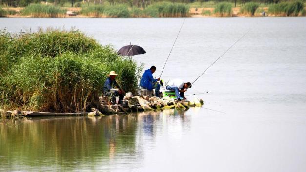 |夏季鱼难钓？主要是“天气”选择出错，认准4种天气，大鱼拉到爽