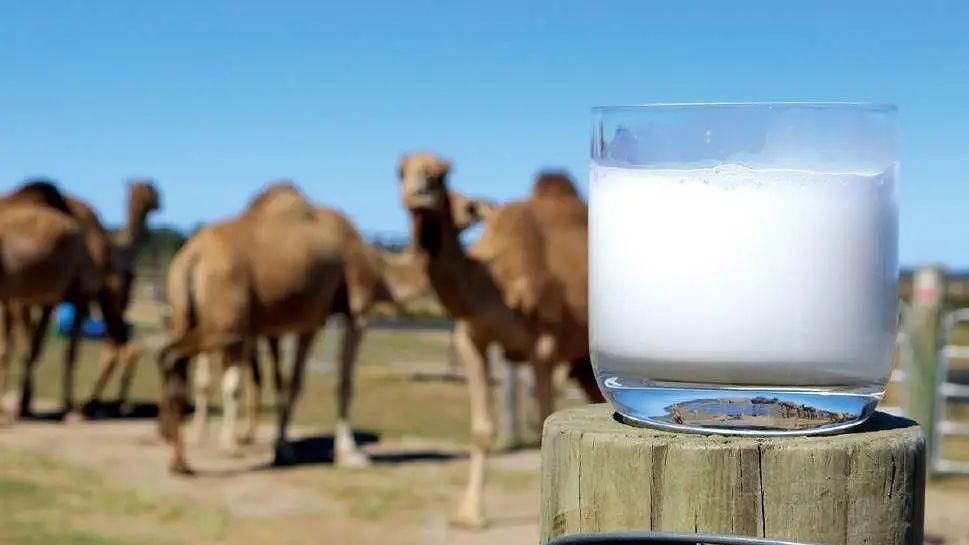 衰老|92岁高龄奶奶，骨龄只有60多岁，常年坚持的2习惯，道出原因