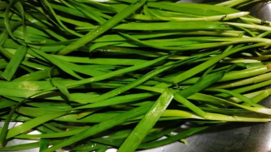 韭菜的功效与作用及禁忌