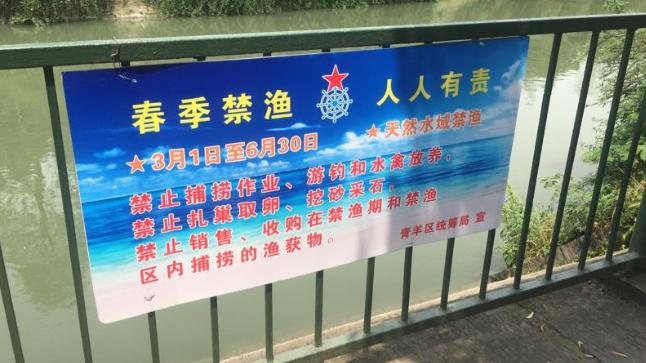 |3月到6月四川天然水域禁止垂钓, 缓解需求将建5至10个休闲垂钓基地