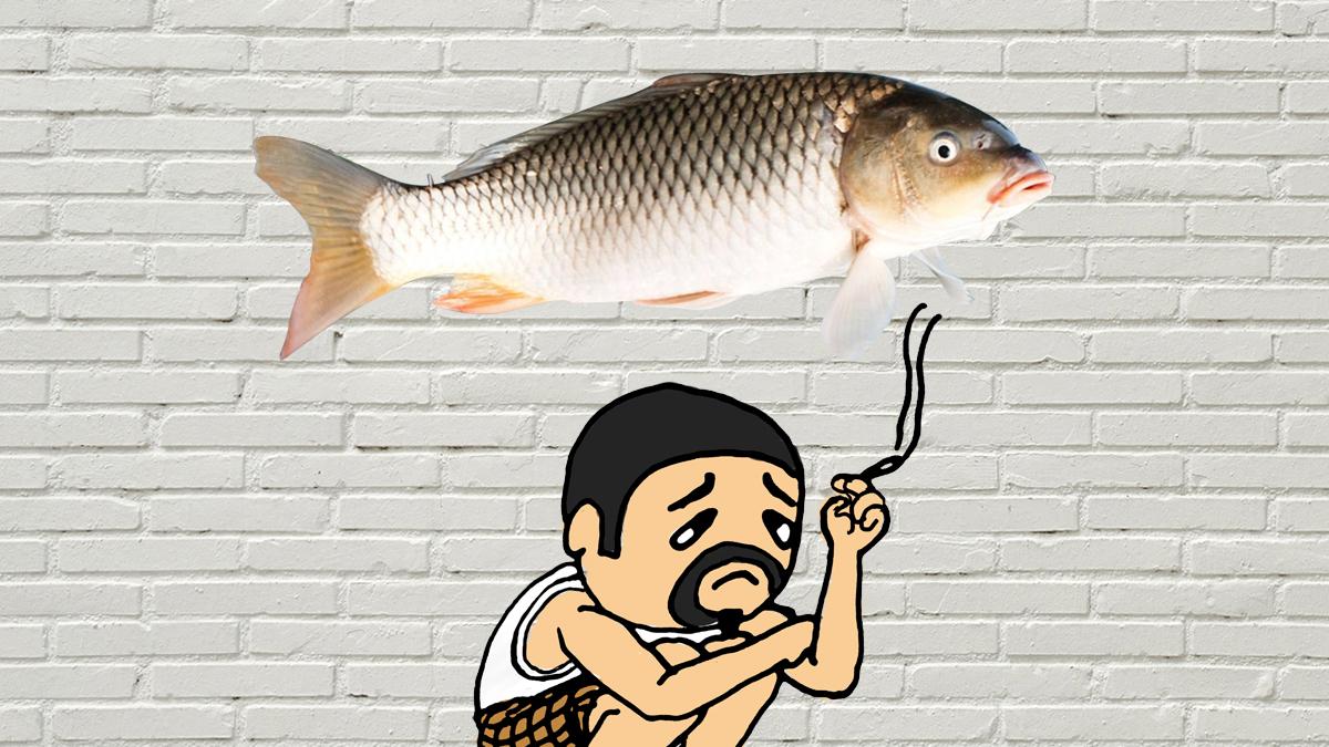 |为什么钓不到鱼？鱼饵不好？钓技不行？钓不到鱼的4个主要原因