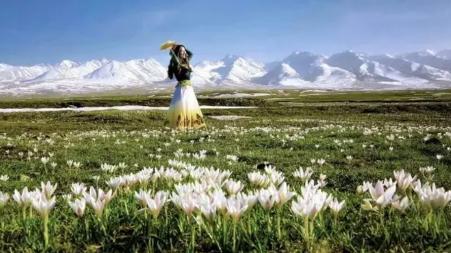 日出|北疆旅游胜地 看日出和黄昏最好的地方