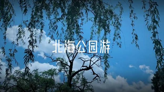 孙莉|孙莉罕见晒三胎儿子正脸，5岁弟弟和爸爸黄磊长超像，单眼皮抢镜