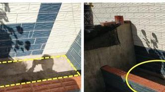 别再互相看不上了，院子里挖鱼池，防水确实重要，两种方法都靠谱