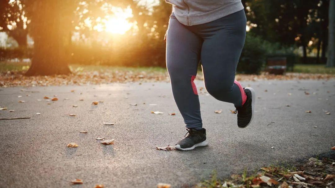 运动|坐骨神经痛的成因和治疗