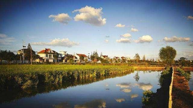 崇明岛|卡车司机因疫情滞留崇明岛，靠钓鱼摸下过日子，网友：野外生存