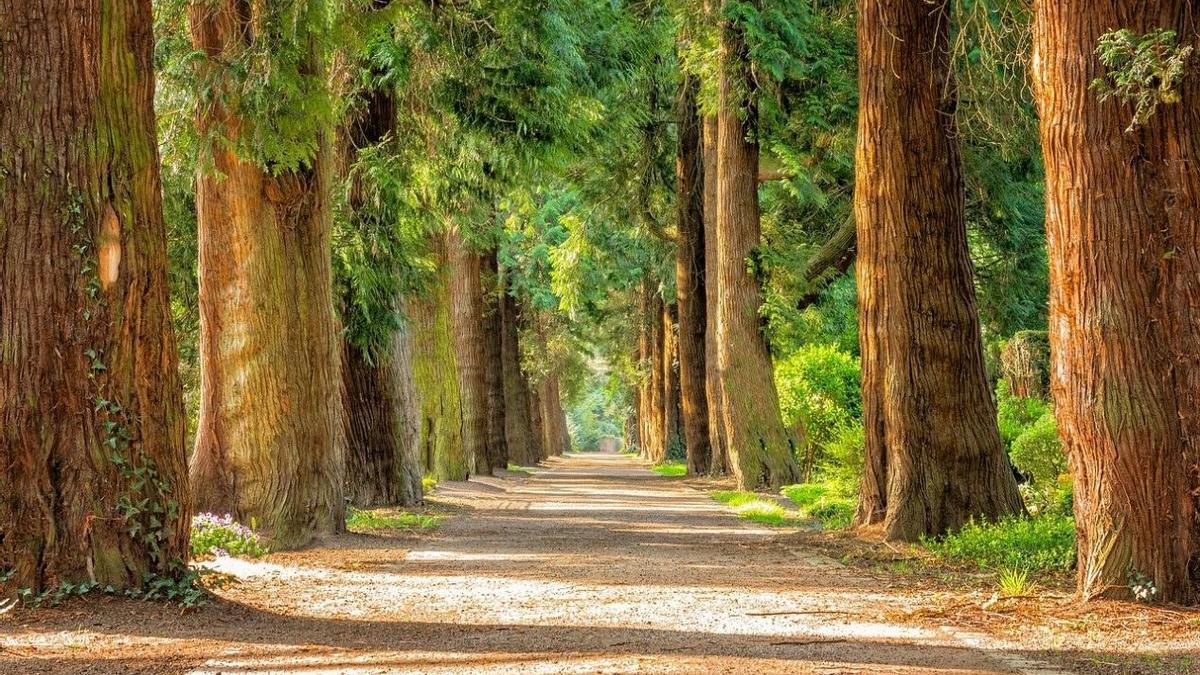 招聘|4.4-4.10，或有贵人相助的星座，工作难题被解决，爱情遇佳偶良缘