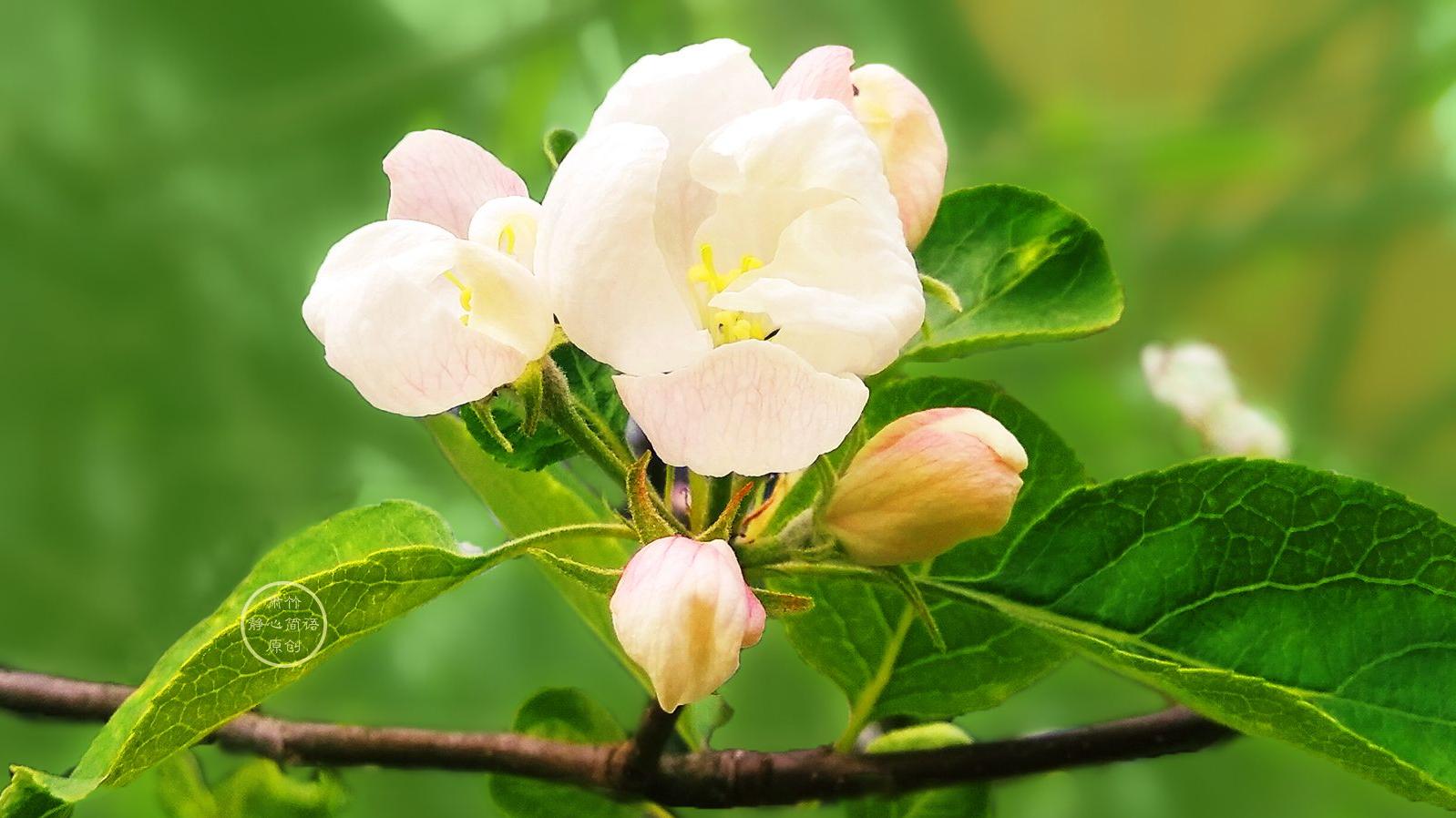 华为|很多光鲜亮丽的，其实毫无意义，甚至是坑