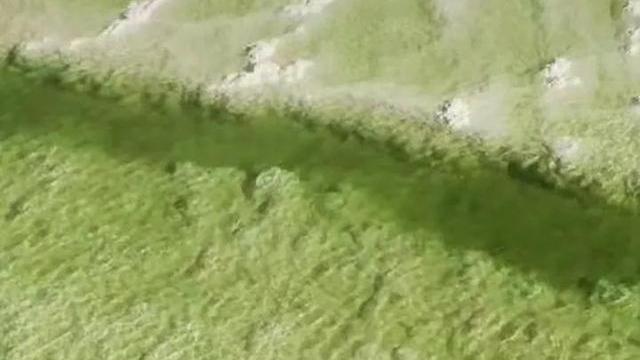 从大厂裸辞之后，她搬进了7m2的房子