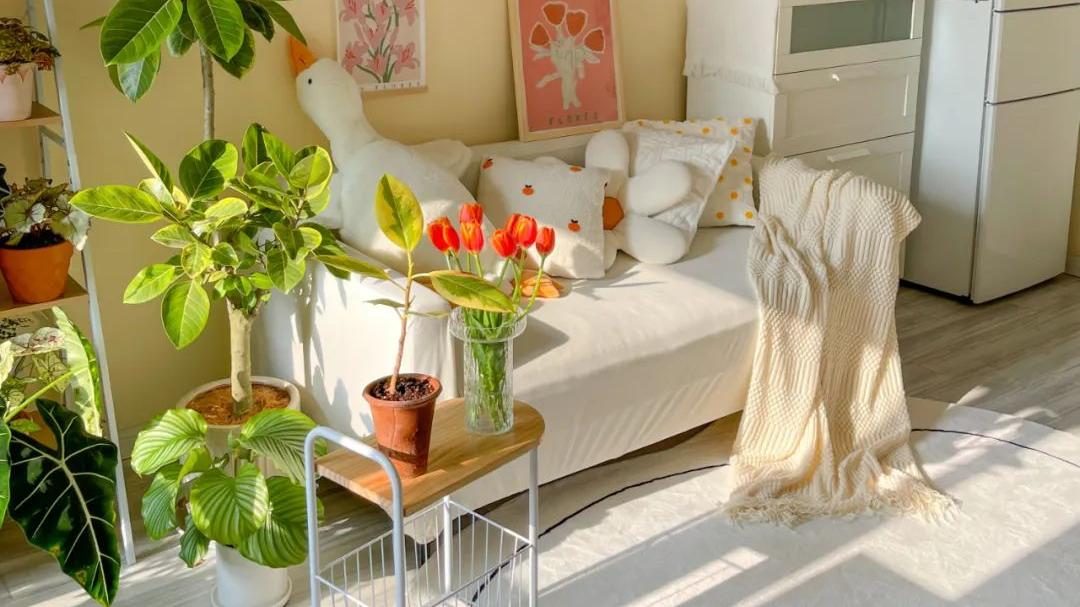 50㎡温馨两居室，小户型布局都该看看她家