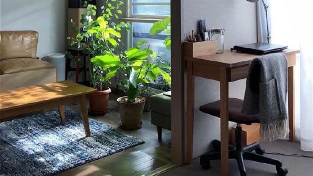 家里1㎡的面积能做什么？可别小瞧这巴掌大的空间，用处还真不少