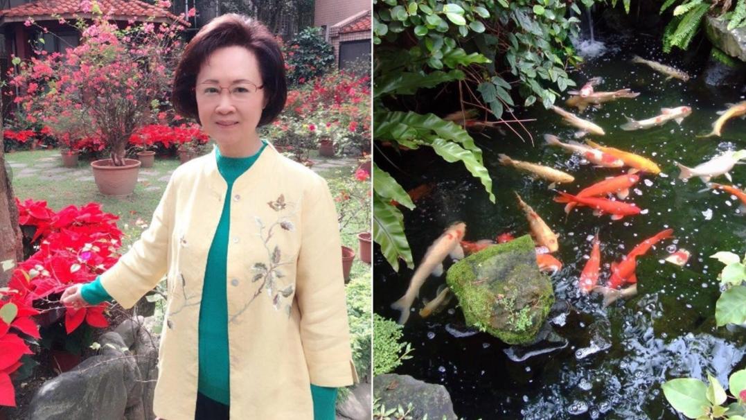 琼瑶|琼瑶5.5亿豪宅将被清拆，居住超过40年，现对外开放展示个人珍藏