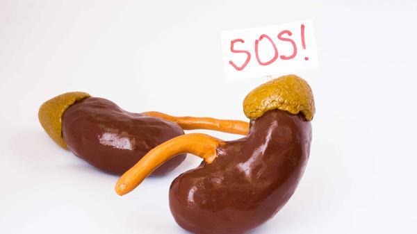 饮食|夏季天气热，这4个行为易损伤肾脏，很多人都在做，赶紧改正