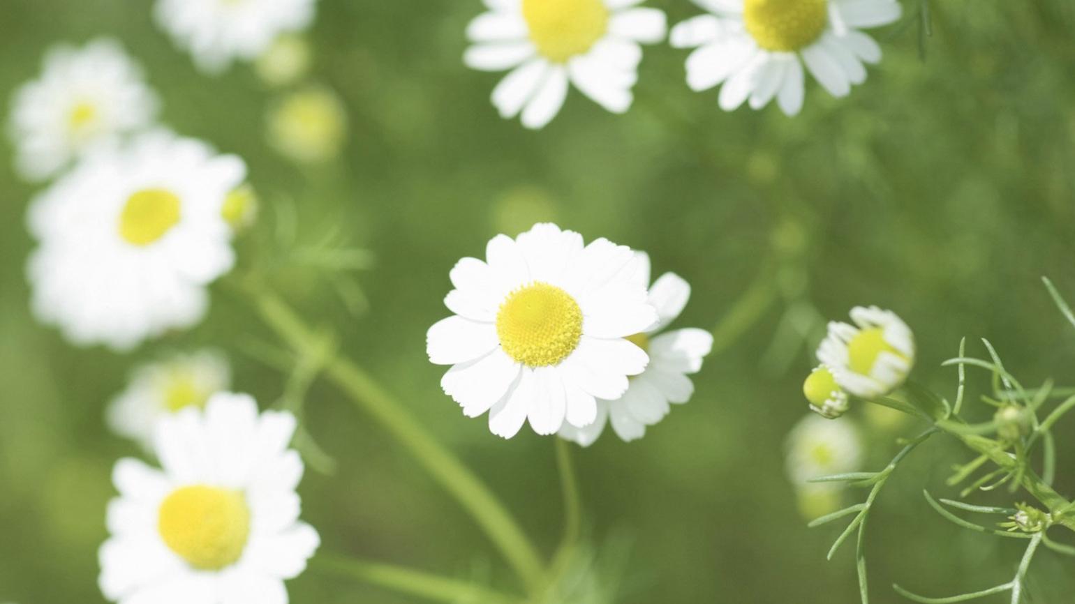 |5月下旬，贵人很多，机遇连连，3生肖好事成双，职场顺遂，情场圆满