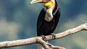 文玩|这些很“刑”的文玩，你知道吗？