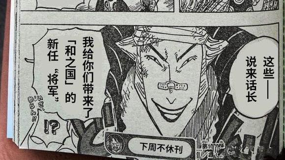 凯多|海贼王1050话汉化，凯多战败生死不知，桃之助即将登上将军宝座