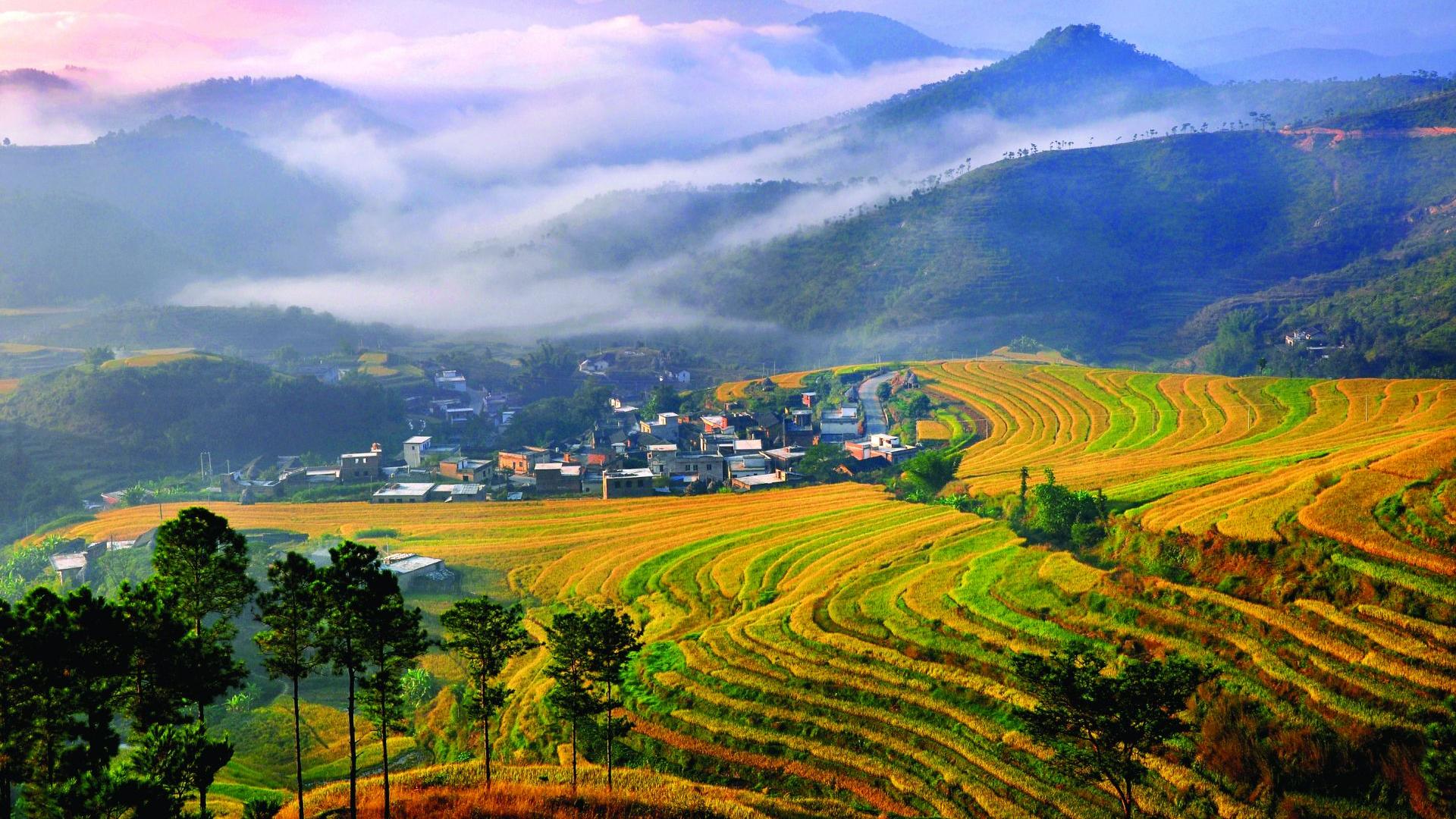 |将茶文化与乡村生态旅游产业融合的具体措施