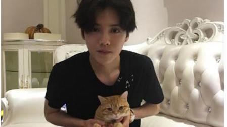 参观鹿晗现实的豪宅，家具都是欧式的，装修高档又舒适