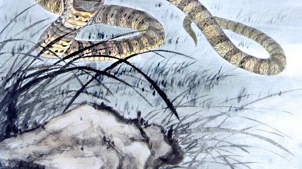 西装|啥生肖的人，头脑灵活，虎年有着一顶一的好运，创业打工都有前途