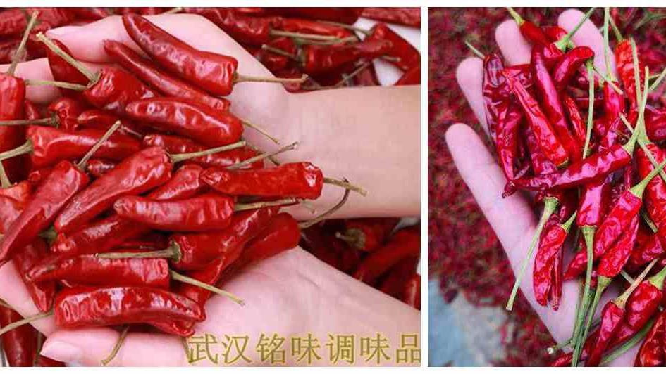 辣椒|如何才能做出又麻又辣的衢州鸭头