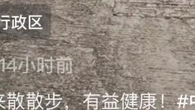 李国麟|68岁港星李国麟豪宅曝光！家住香港半山别墅，身价10亿穿百元衣服