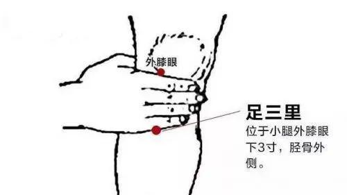 白癜风|脾虚湿气重？远离这“致虚”12字，养好脾胃身体更壮~