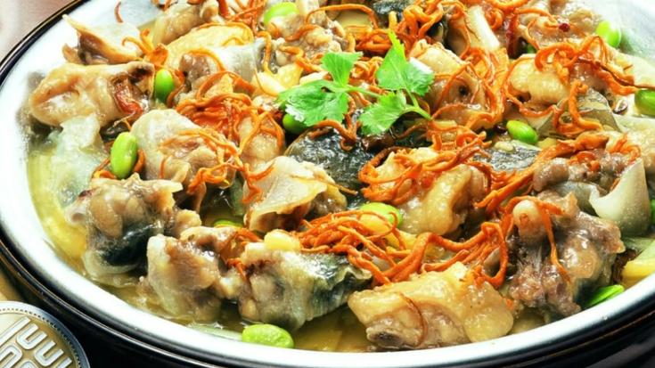 虫草花|是虫草花不是虫草！