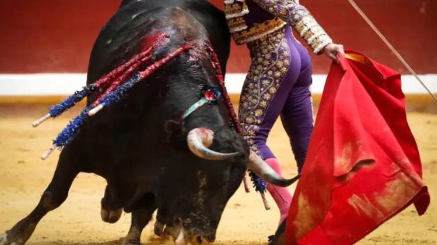 汉江|闻名世界的西班牙斗牛，是促使这个国家，旅游业发达的原因之一
