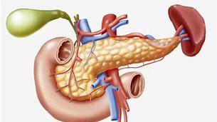 胰腺癌|胰腺癌在日常生活需要注意的几点
