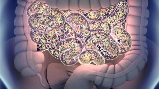 心脏|糖友怎么补充蛋白质？红肉、乳制品增加癌症风险，家禽鱼类更健康