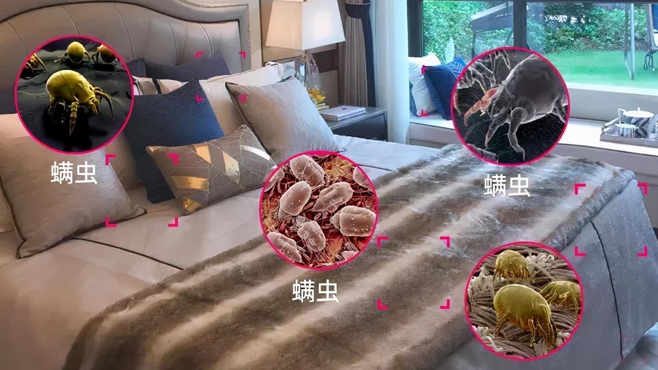 被子放久了潮湿发霉还有异味？宝妈教你正确做法，干净没异味