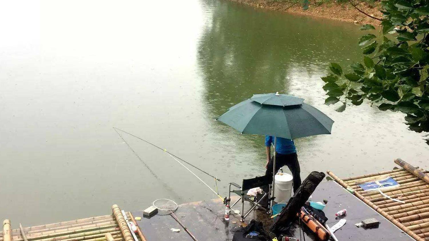 |夏季钓鱼的4种最佳天气，鱼口非常好，鱼获比平时多出好几倍