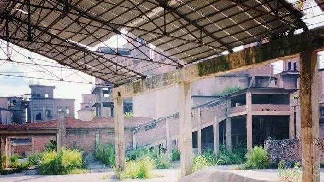 陆仙人|国内被骂变态，国外却称天才，陆仙人经历了什么？