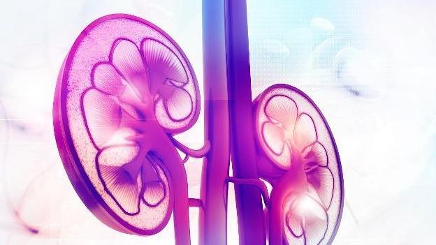 肾虚|男人没有过度同房，为什么也“肾虚”？别害羞，可能和这4点有关