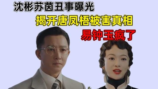 唐凤梧|传家大结局：沈彬苏茵丑事曝光，揭开唐凤梧被害真相